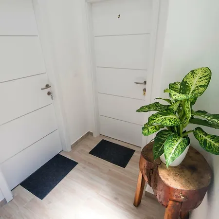 Apartment Pleasure 1 I 2 Zadar